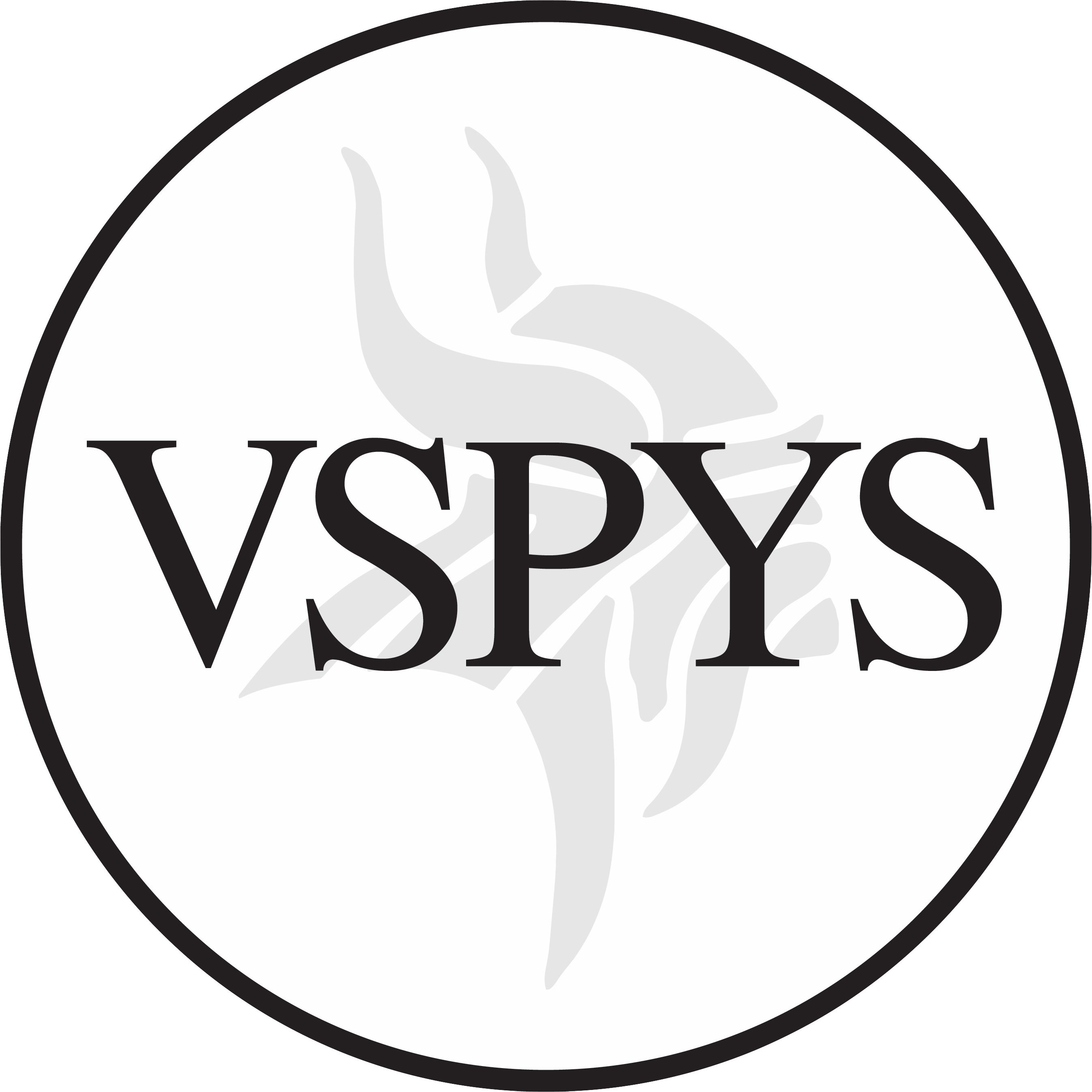 The VSPYS